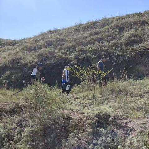 山河作证 岁月留痕——海原县第四次全国文物普查工作纪实