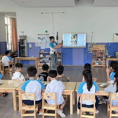 浓情端午，粽情粽意——菲德尼悦府幼儿园端午节系列活动