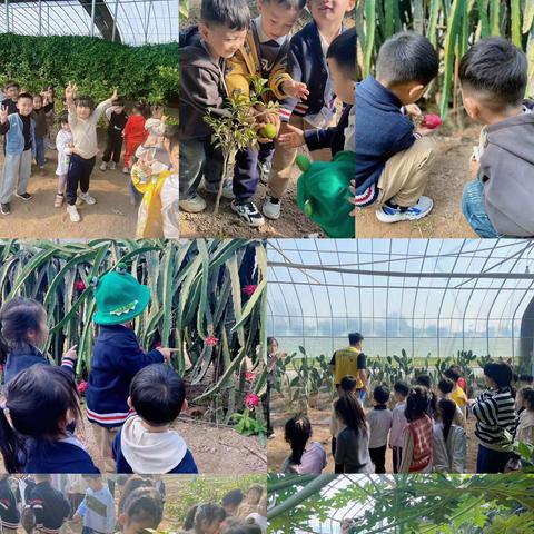 稻花香里说丰年—菲宝快乐丰收季