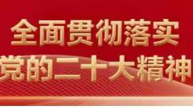 【学习宣传贯彻党的二十大精神 】深学细悟二十大·戮力同心创佳绩-喀什市第十一中学党总支深入学习二十大