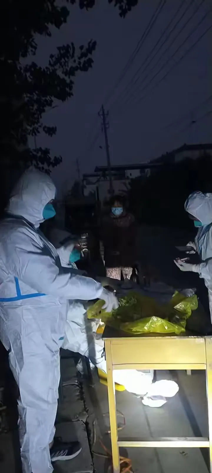 简篇-《裴庄村2022抗疫纪实》