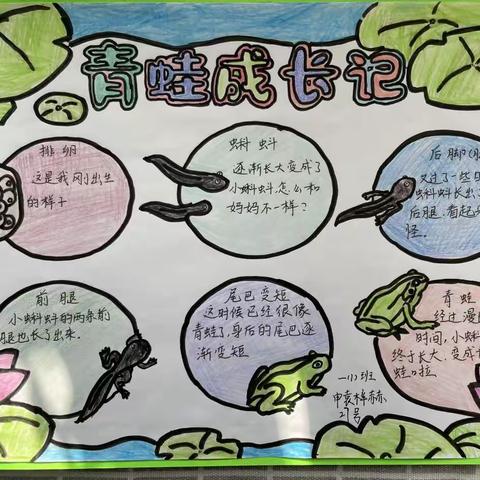 科学动动手，一起绘未来 ——二七区滨河花园实验小学低年级科学学科活动