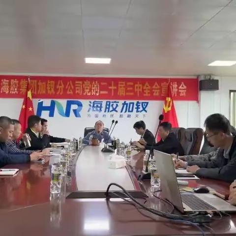 海胶集团加钗分公司召开学习贯彻党的二十届三中全会宣讲会
