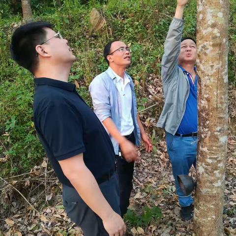 崔红光深入海胶集团加钗分公司调研