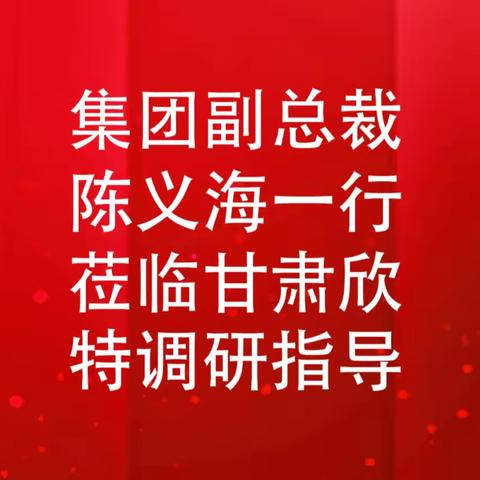 重药集团副总裁陈义海一行赴重药甘肃欣特调研指导