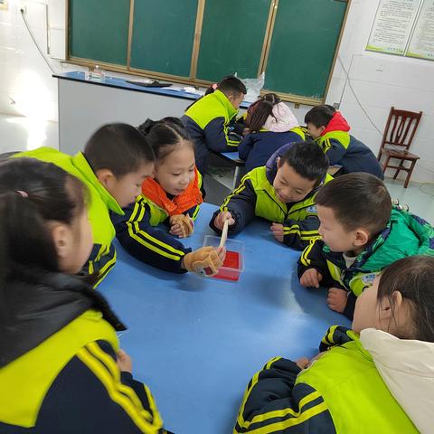 科创筑梦，助力双减------记金庭学校白石校区课后服务之科学篇