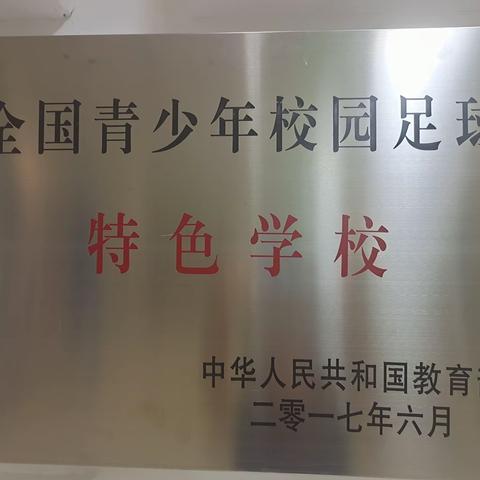 东营市海河小学活力女子足球队简介