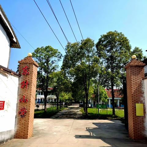 菁菁校园-东升小学招生简章