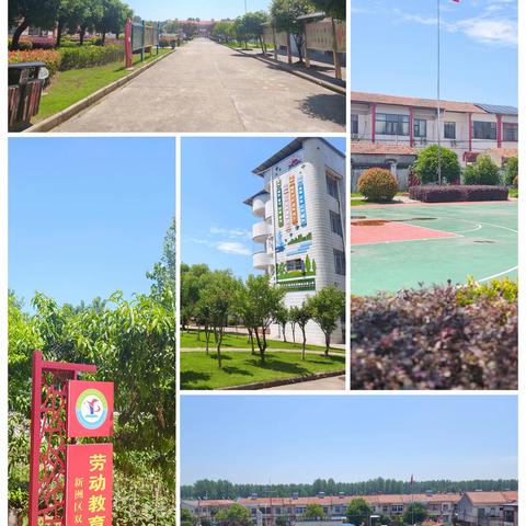 研路相伴共深耕 携手同行促成长 ——汉阳区楚才小学 六月份 242 结对帮扶活动