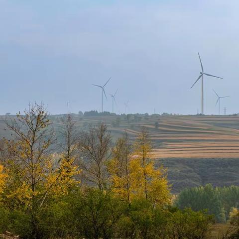 圆梦之旅——行摄坝上秋色