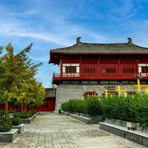 枝枝银杏俏故里