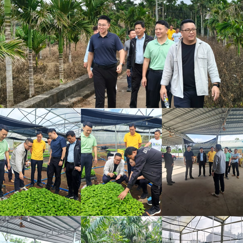 党建引领学经验 考察调研促发展——七叉镇重合村党支部外出考察调研活动