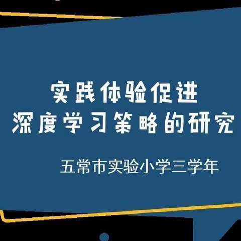 【实小科研】指向深度学习的有效教学策略研究—三年级实践体验促进深度学习策略的研究报道