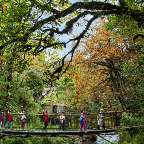 成都市老协摄影专委会一大队到龙苍沟《秋色美景》摄影创作活动