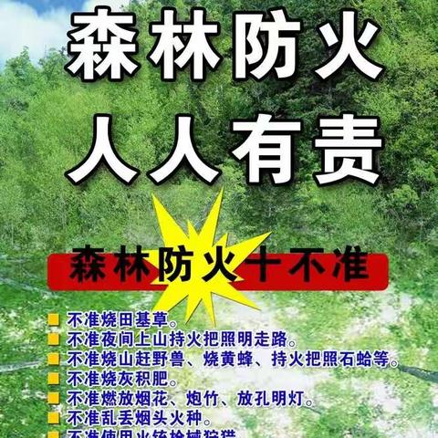 朱杖子乡：坚定不移抓落实，全面筑牢护林防火工作根基