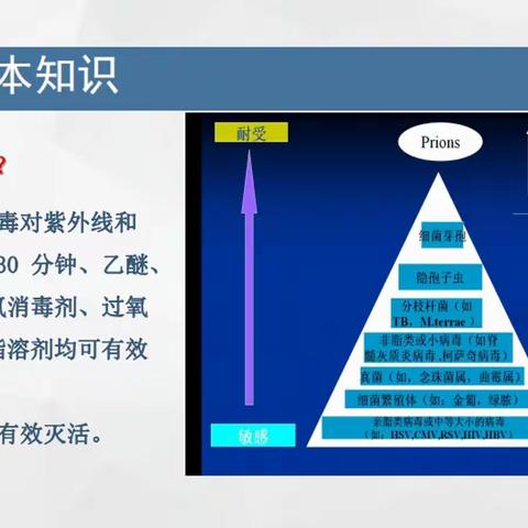 【能力作风建设年】筑牢疫情防控防线 守护师生健康安全