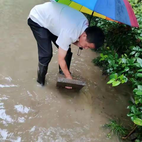 世纪雅苑物业防汛在行动