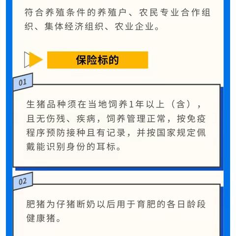 【普惠金融推进月】丨金融产品之“商业性育肥猪养殖保险”