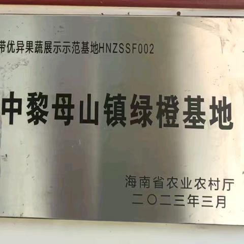 海口市农业技术推广中心派技术骨干赴琼中、保亭就地理标志和商标品牌工作等交流学习