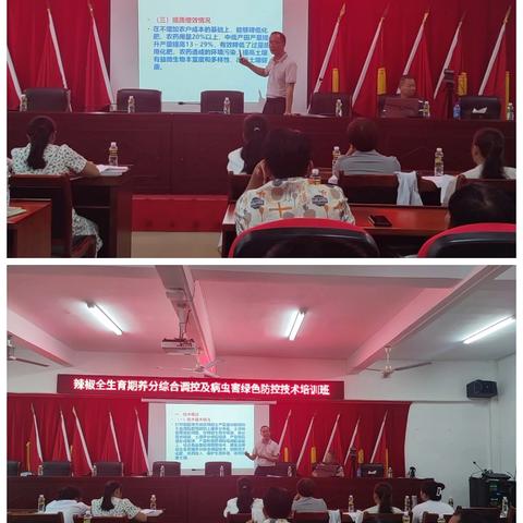 海口市农技中心在新坡镇举办辣椒全育期养分综合调控及病虫害绿色防控技术培训班