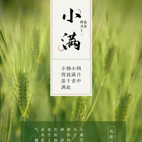 小满正当时，万物渐盈盛｜二十四节气之小满