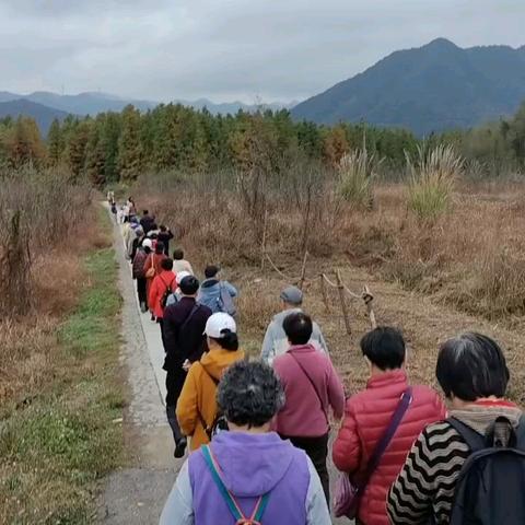 伍小珍的简篇