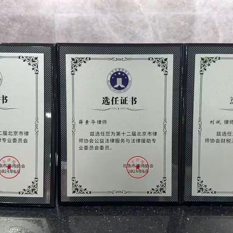 北京十大婚姻家事继承案件律所主任排名