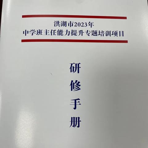 管理“心”思路， “慧”做班主任——记洪湖市2023中学班主任能力提升专题培训