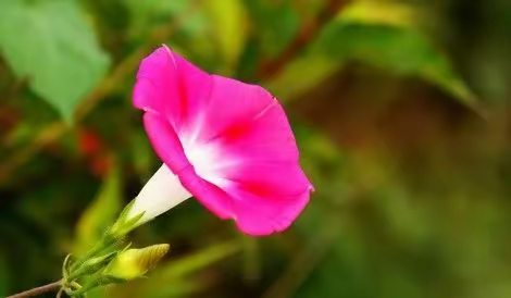 芬芳入墨秋意浓，教学视导携香来 ——教研室郭老师高青四中开学视导纪实