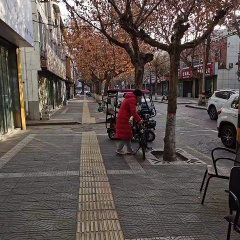 市林业局12月21日创文工作动态