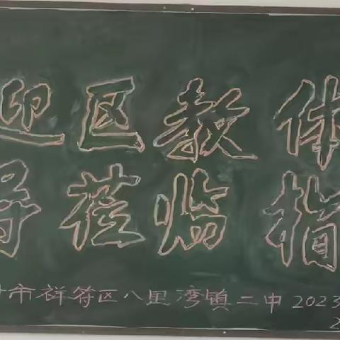 督导明方向，奋发行致远——八里湾镇第二初级中学年终督导活动纪实