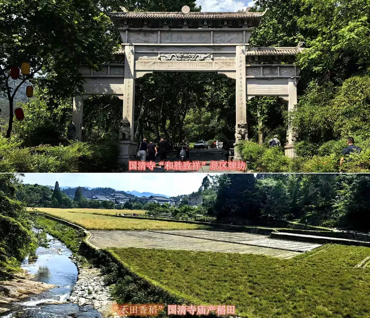 ご希望額まで値下げしますよ～@中国・天台山国清寺184世 可明 「圓教」肉筆掛軸 新品、本物、当店在庫だから安心】 中古】【書画】妙心寺 肉筆紙