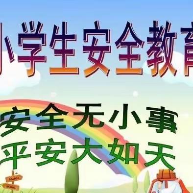 行走的思政课----平安自护我能行
