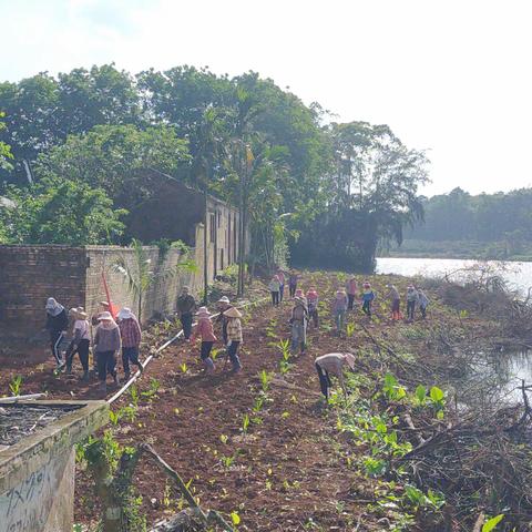 东路镇永丰村治水攻坚中队开展三月份治水活动