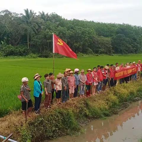 东路镇蛟塘村开展“六水共治”主题党日活动