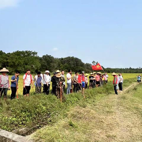 大坡村委会开展五月份治水活动