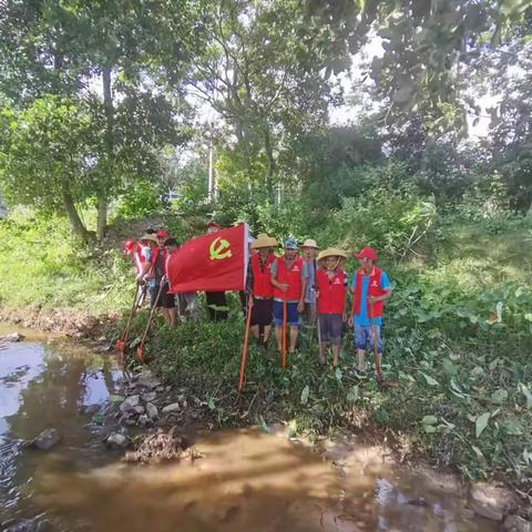 党建引领 全民参与---东路镇大坡村开展六水共治活动