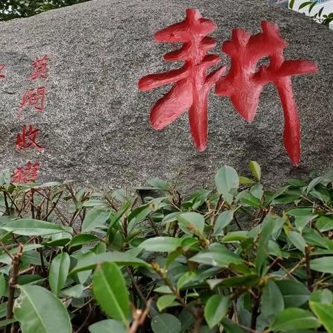 书香满校园 经典润人生 ——济宁市第十三中学被评为全国中小学生阅读素养项目实验基地