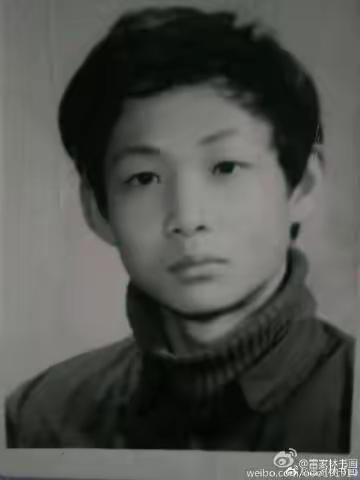 雷家林谈书法艺术