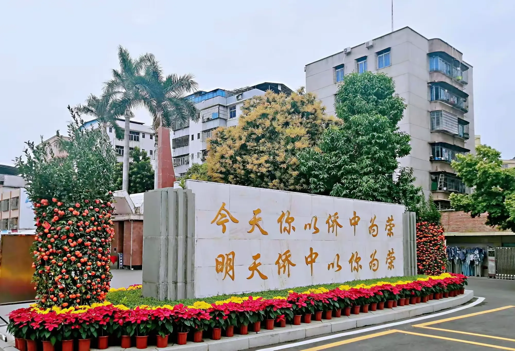 简篇-琅琅书声踏晨曦
孜孜勤学向未来
信宜市华侨中学2024-2025学年第二学期班级读书竞赛暨全校读书大巡班活动