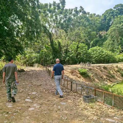 空联村|永利的“致富鹅”