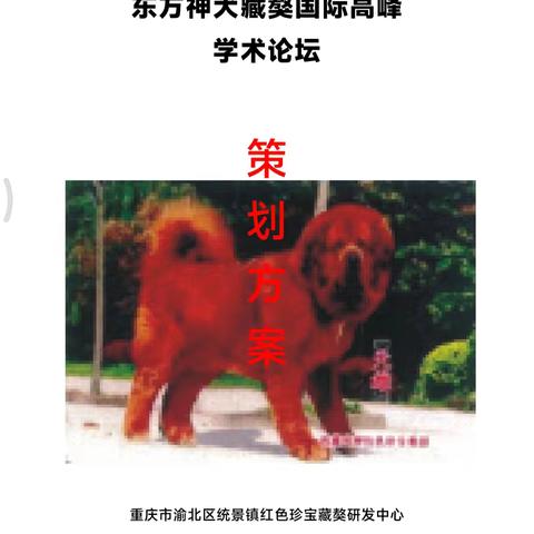 东方神犬·藏獒国际高峰学术论坛召开 共探物种保护与产业发展新路径