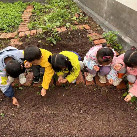 [让秋天的风吹进幼儿园的日常]            ——中二班精彩回顾