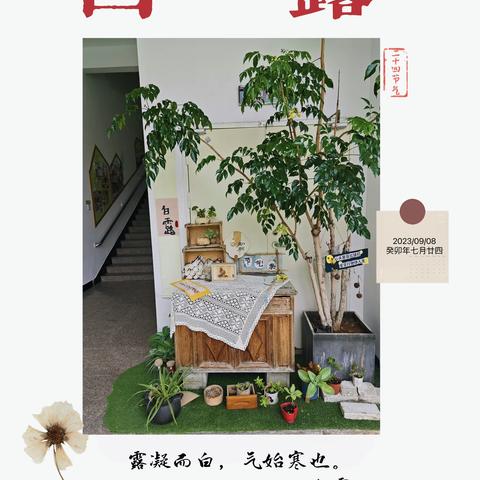 一叶知秋,气爽风凉——仙游县木兰幼儿园节气活动