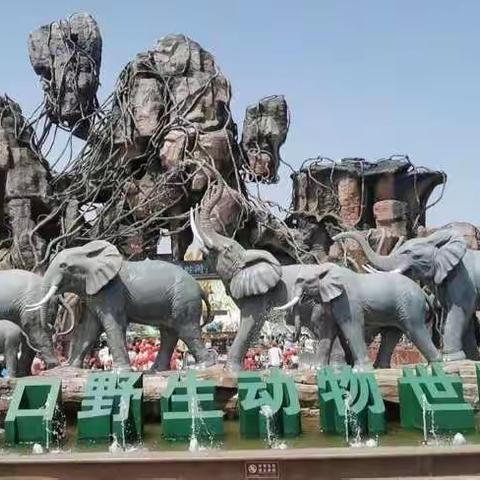 走进野生动物园，探索神奇大自然——二2班周口野生动物园研学之旅