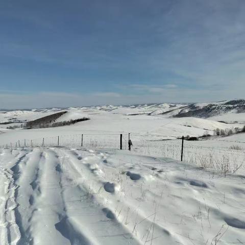 雪地巡护，守护造林成果