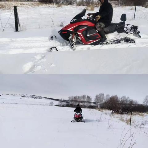 头道桥林场巧用雪地摩托 开展冬季造林地巡护