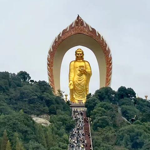 东林大佛、落星墩草原一日游