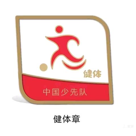 丰收乡白塔子小学——“红领巾奖章”之“健体章”争章活动