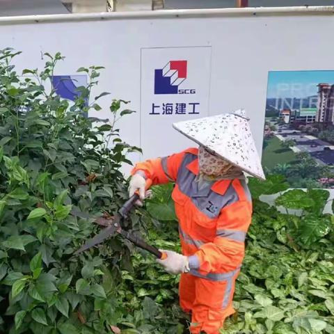 【琼海玉禾田】抓细节、补短板、多举措（8月4日）